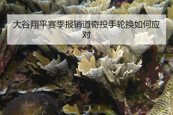 大谷翔平赛季报销道奇投手轮换如何应对