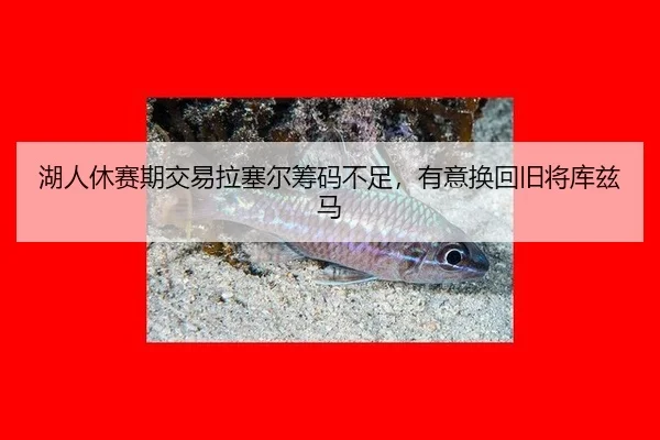 湖人休赛期交易拉塞尔筹码不足，有意换回旧将库兹马