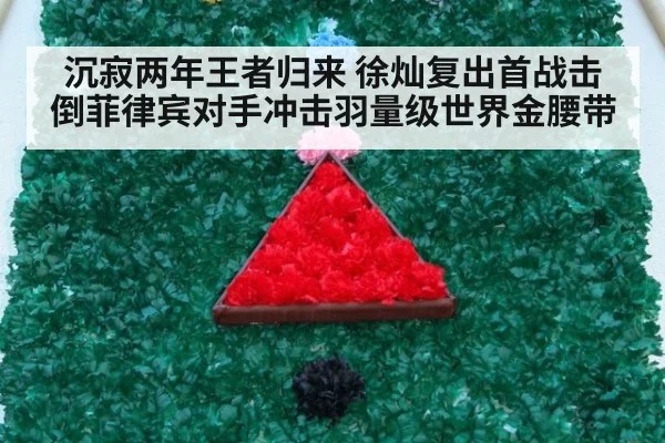 沉寂两年王者归来 徐灿复出首战击倒菲律宾对手冲击羽量级世界金腰带